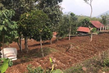 Tanah Strategis di Jatinangor dekat Gerbang Pintu G UNPAD