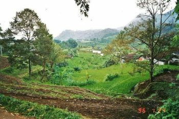 Kavling Tanah Trawas  Sumber Mata Air Debit Tinggi