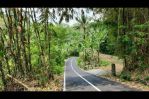 thumbnail-tanah-dengan-view-super-cantik-dan-tenang-di-ubud-area-9