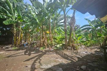 TANAH SIAP BANGUN JALAN PROTOKOL SEMARANG SEMARANG LUAS 29,5M X 90M