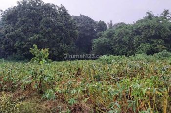 Tanah Murah di Parung, Bogor Lokasi Strategis Untuk Usaha