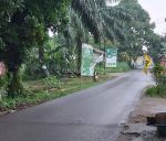 thumbnail-tanah-murah-di-parung-bogor-lokasi-strategis-untuk-usaha-11