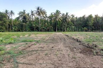 Tanah Murah 2 Jutaan Dekat AEON Mall Sentul City. SHM