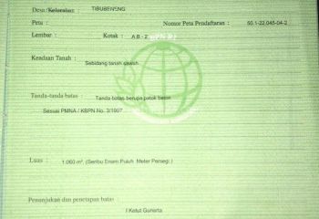 Disewakan tanah 10 are SHM zona kuning padonan