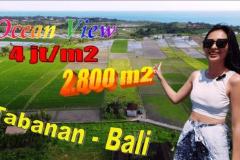 Tanah Kering Siap Bangun 28 Are Strategis di Kediri Tabanan