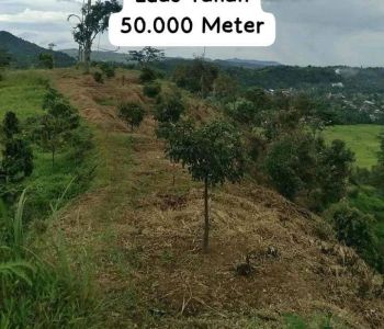 Di Juall Tanah Kebun Murah Surat SHM