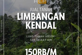 Jual Tanah di Limbangan Kendal