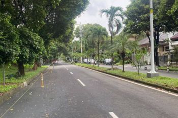 Tanah luas di Jalan besar , Prime lokasi ,  harga nego ,SHM
