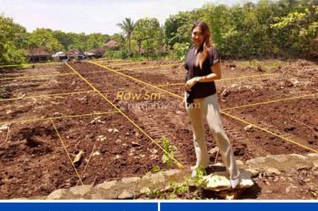 800 Meter Jl Kawasan Industri Sentolo, Kavling Perumahan Jogja