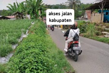 Di Juall Tanah Kebun Dan Sawah Murah Surat SHM