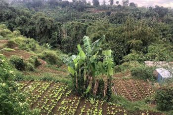 Tanah Luas di Jln.ciuyah, Kampung Bongkok Cimahi, Cimahi