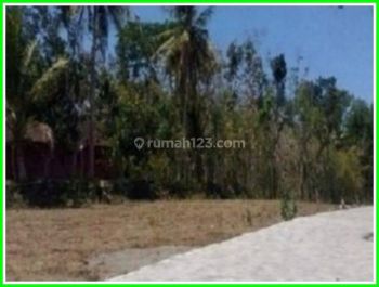 Tanah 3 Menit Kampus Uad Wates Daerah Tawangsari