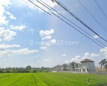 Tanah di sewakan jangka panjang cemagi dekat pantai harga murah