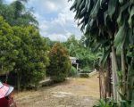 thumbnail-tanah-peternakan-sapi-rumah-ciater-subang-9