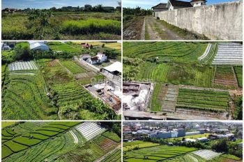 Dijual Tanah Kavling View Sawah BUC 900 Jt/are di Kerobokan Kelod
