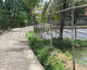 TANAH SEKITARAN KAMPUNG