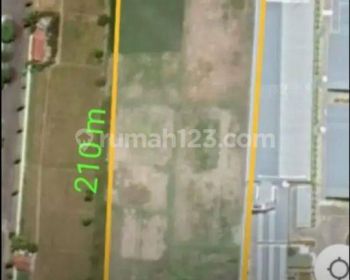 Tanah 1,4 hectare di Brebes