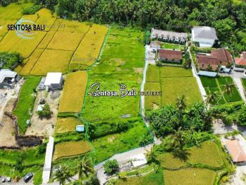 Jual Tanah di Peliatan Ubud Bali View Sawah Dekat Ubud Center