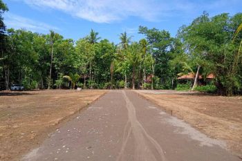 Dekat Pasar Karangdadap, Jual Tanah Pekalongan, Akses Jalan Desa
