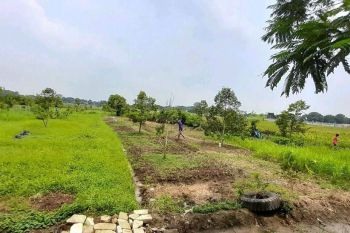 BISMILLAH
Dijual Kebun Durian. Tanah Darat SHM luas 7592