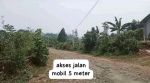 thumbnail-di-jual-tanah-kebun-murah-luas-tanah-20000-meter-surat-shm-pinggir-jalan-lokasi-0