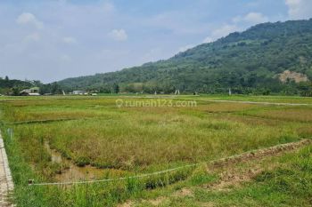Dijual Kavling Sawah E5 Jonggol Bogor Timur