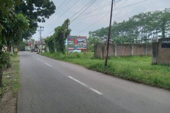 Nempel Jalan Pasar Bligo, SHM, Tanah Murah Pekalongan