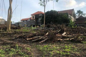 Tanah sewa di Canggu area 26 are yellow w zone