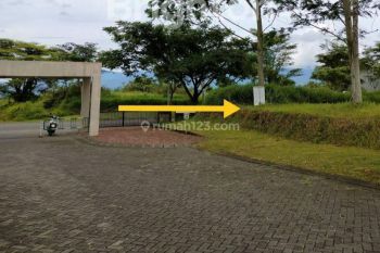 TANAH HOOK DENMOZA ARAYA