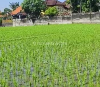 Discover A Piece Of Paradise With This Exceptional Land Opportunity