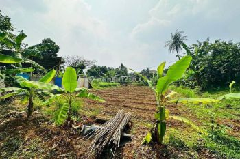 Tanah Premium Murah View Danau Cilodong, Depok
