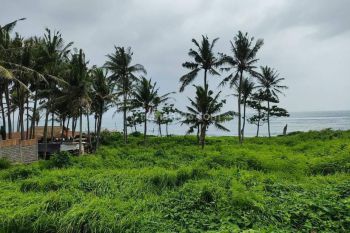 Premium Land Suitable For Residential Or Business At Canggu
