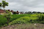 thumbnail-premium-land-suitable-for-residential-or-business-at-canggu-5