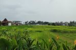 thumbnail-premium-land-suitable-for-residential-or-business-at-canggu-7