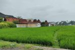 thumbnail-premium-land-suitable-for-residential-or-business-at-canggu-6