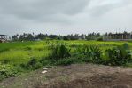 thumbnail-premium-land-suitable-for-residential-or-business-at-canggu-4
