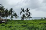 thumbnail-premium-land-suitable-for-residential-or-business-at-canggu-2