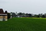 thumbnail-premium-land-suitable-for-residential-or-business-at-canggu-9