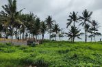 thumbnail-premium-land-suitable-for-residential-or-business-at-canggu-1