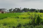 thumbnail-premium-land-suitable-for-residential-or-business-at-canggu-3