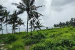 thumbnail-premium-land-suitable-for-residential-or-business-at-canggu-11