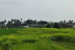 thumbnail-premium-land-suitable-for-residential-or-business-at-canggu-8