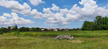 Tanah Dijual di 2,6 Km Smk N 2 Ujungrusi Adiwerna, Tegal