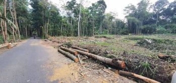 Jual Tanah Murah Klaten, Utara Prambanan Lingkungan Asri