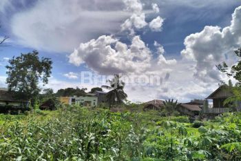 LAHAN TANAH UNTUK USAHA RESTO POSISI PINGGGIR JALAN SAMARINDA