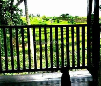 Villa 3 Lantai pemandangan persawahan di Canggu Bali