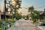 thumbnail-jual-cepat-rumah-pondok-tjandra-indah-cluster-nanas-1-lt-renovasi-4