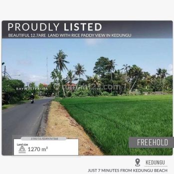 Beautiful 12.7are/1.270m2 land in Kedungu-yellow zone  with rice paddy view