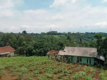 Dijual lahan Kebun parungkuda Sukabumi