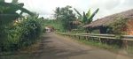 thumbnail-dijual-lahan-kebun-parungkuda-sukabumi-2